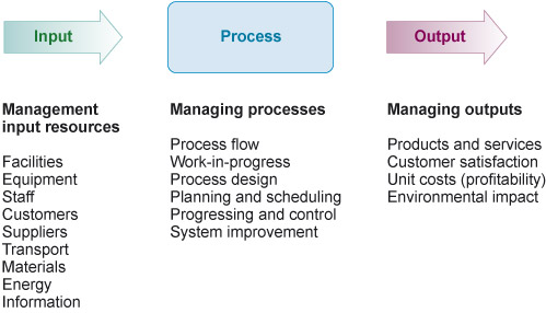 input process output model